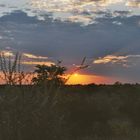 Sonnenuntergang Etosha Namibia