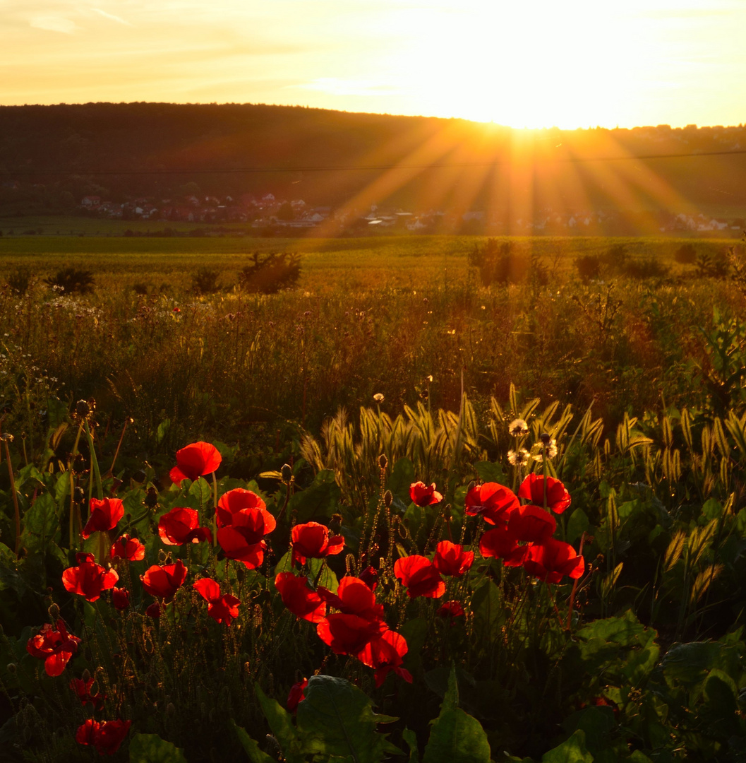 Sonnenuntergang