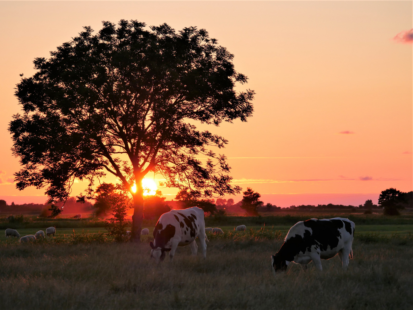 Sonnenuntergang