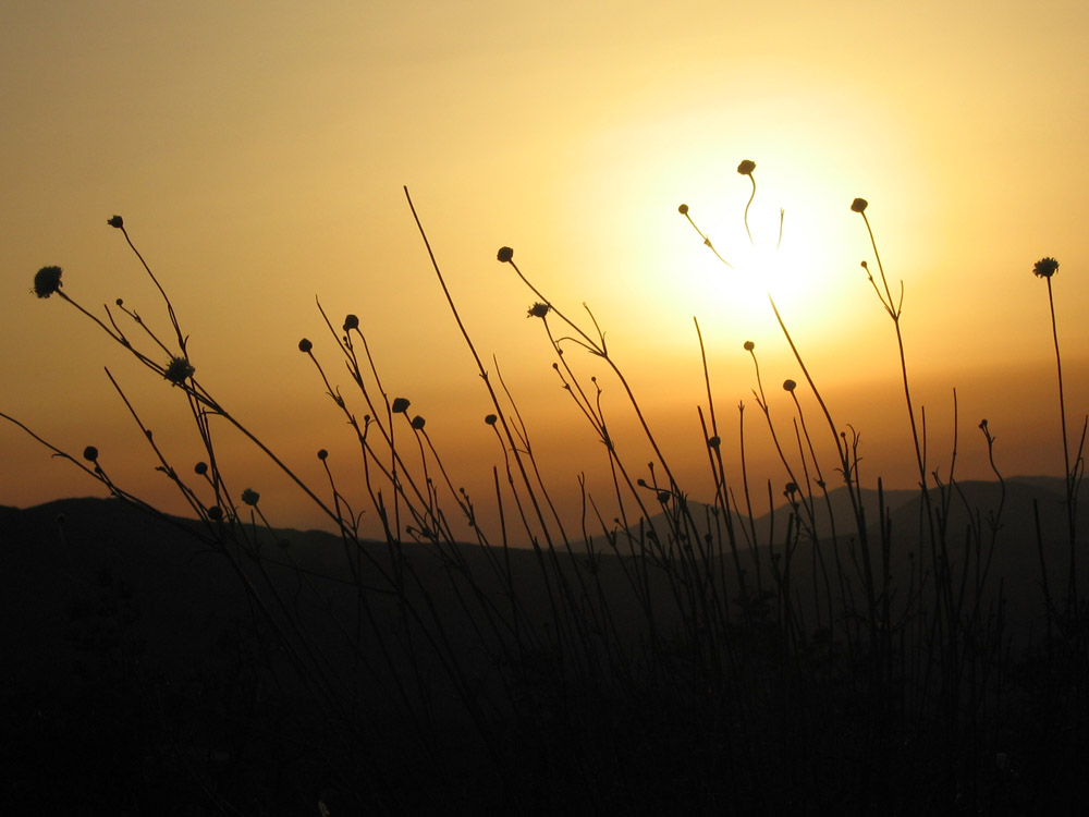 Sonnenuntergang