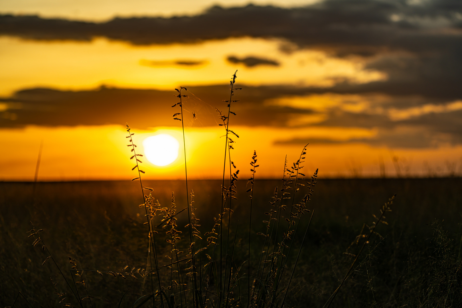 Sonnenuntergang