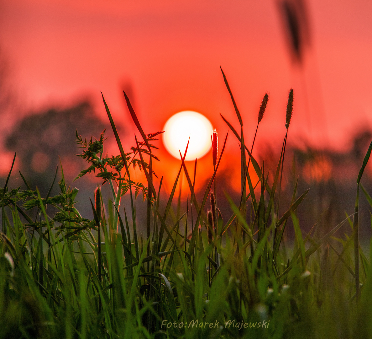 Sonnenuntergang 