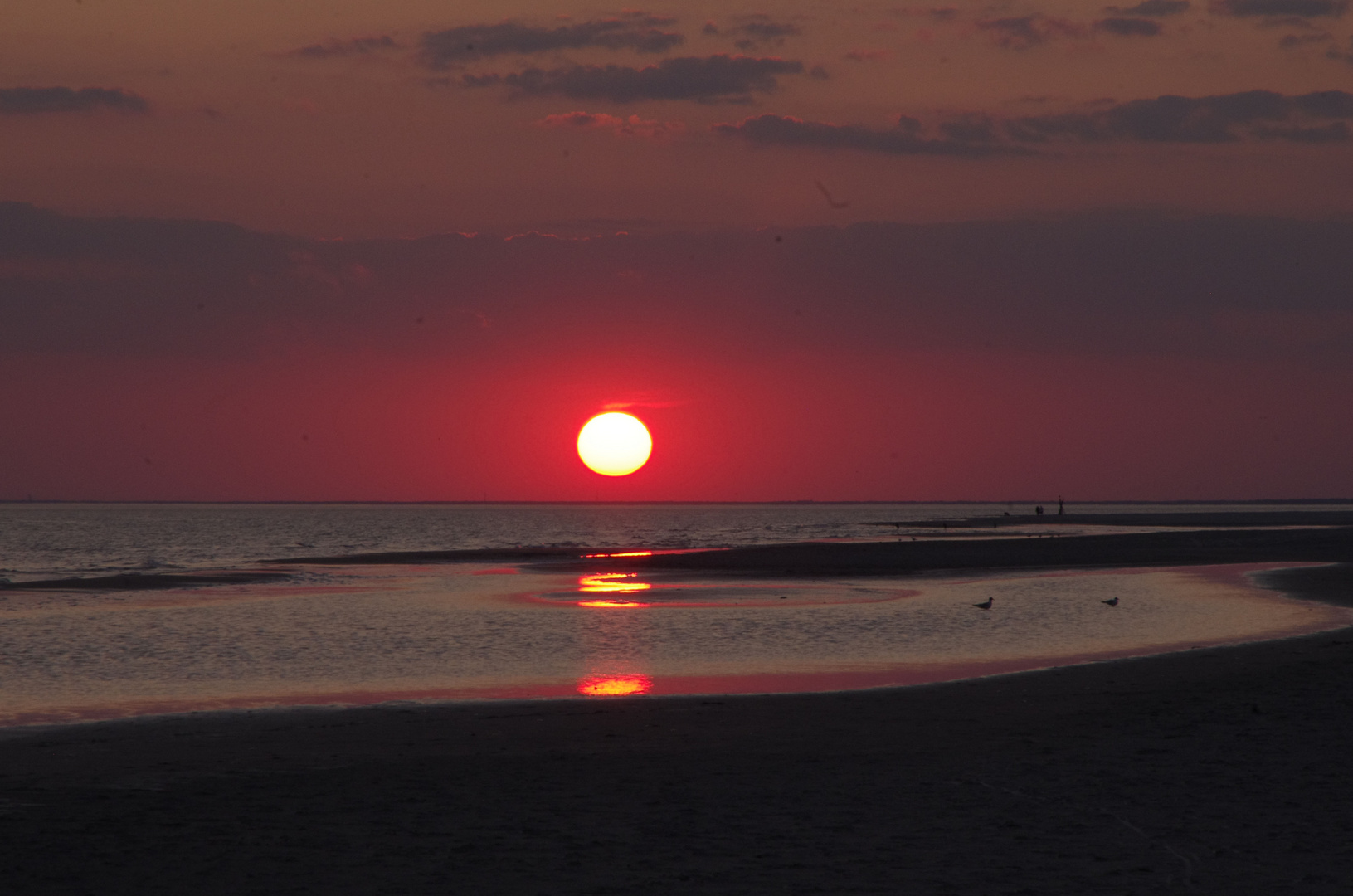 _Sonnenuntergang Fanö 23