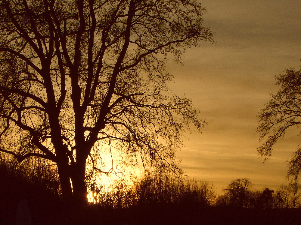 Sonnenuntergang Fc-Pause