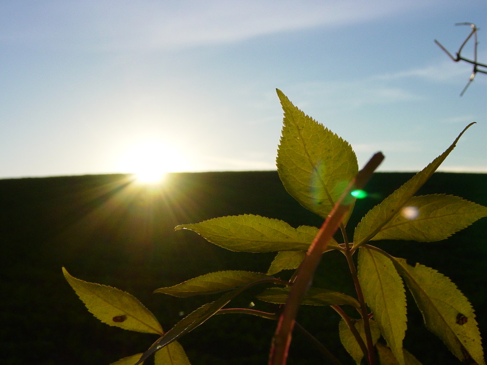 Sonnenuntergang