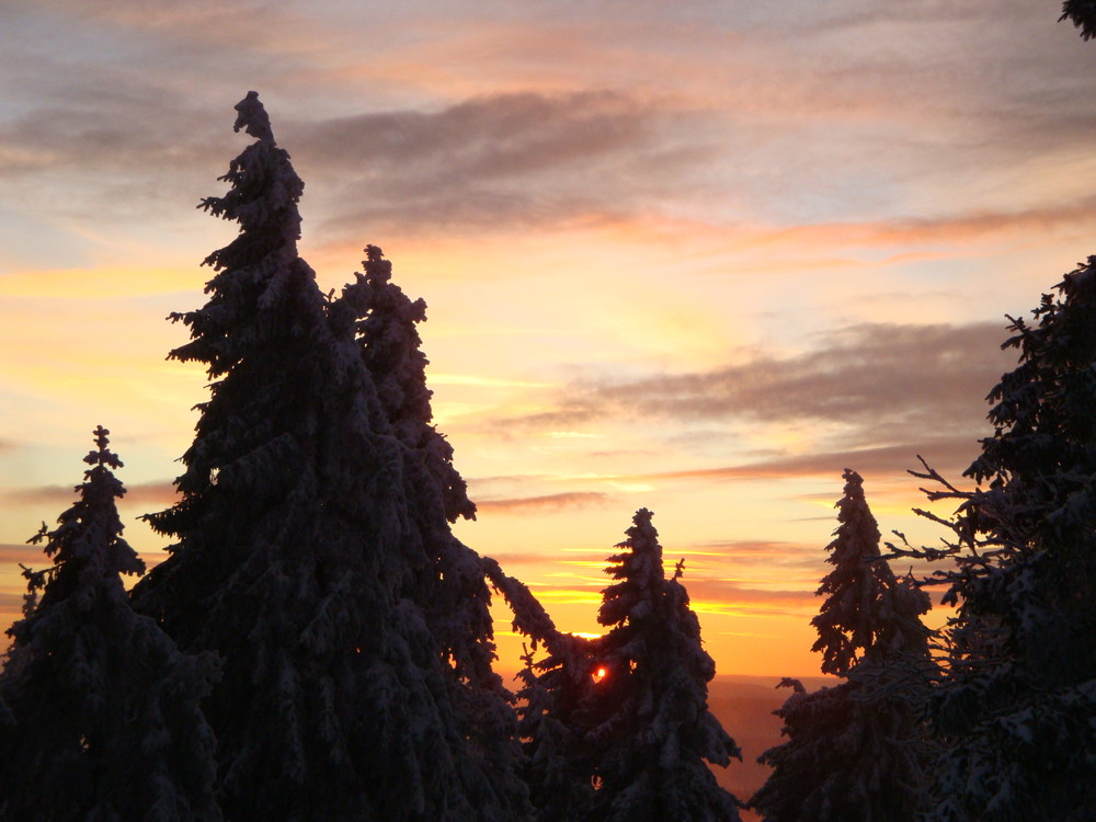 Sonnenuntergang Feldberg 2008