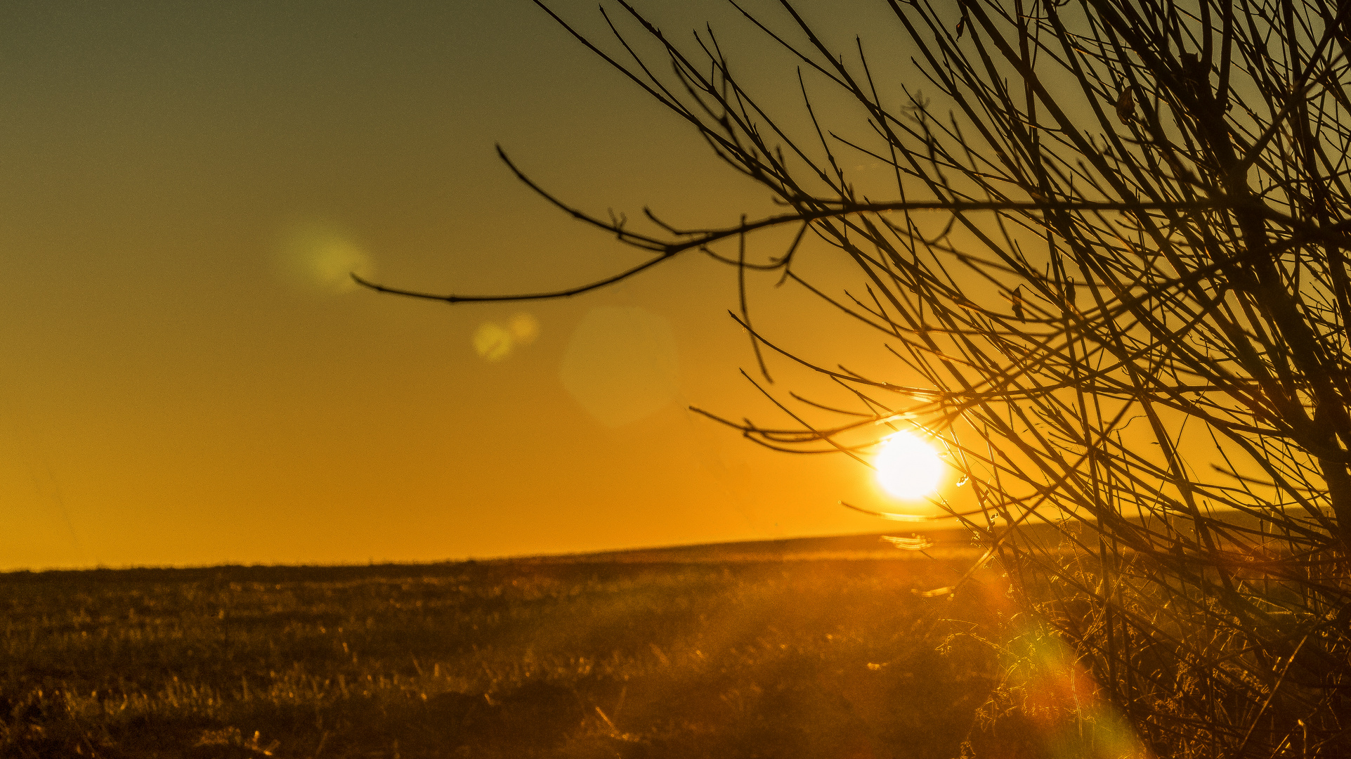 Sonnenuntergang Feldweg 