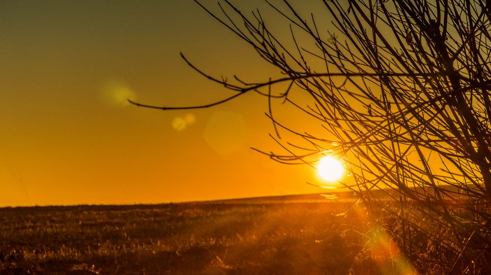 Sonnenuntergang Feldweg 