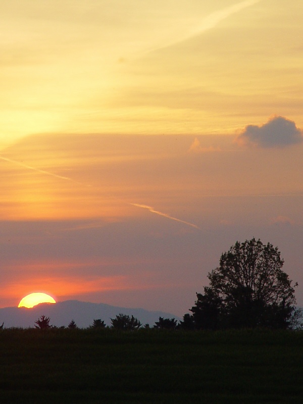 Sonnenuntergang Fischbach