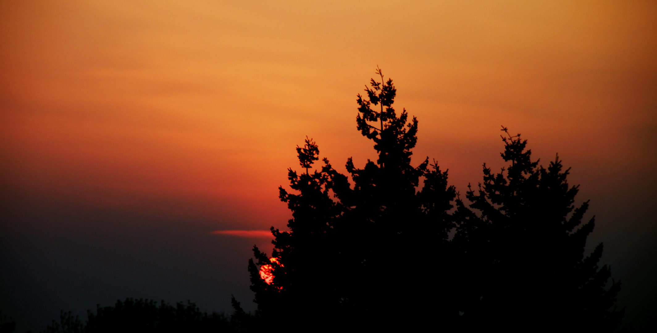 Sonnenuntergang Flörsheim-Wicker