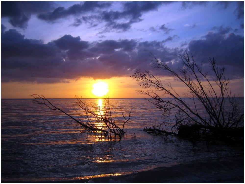 Sonnenuntergang Fort Myers Beach