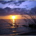 Sonnenuntergang Fort Myers Beach