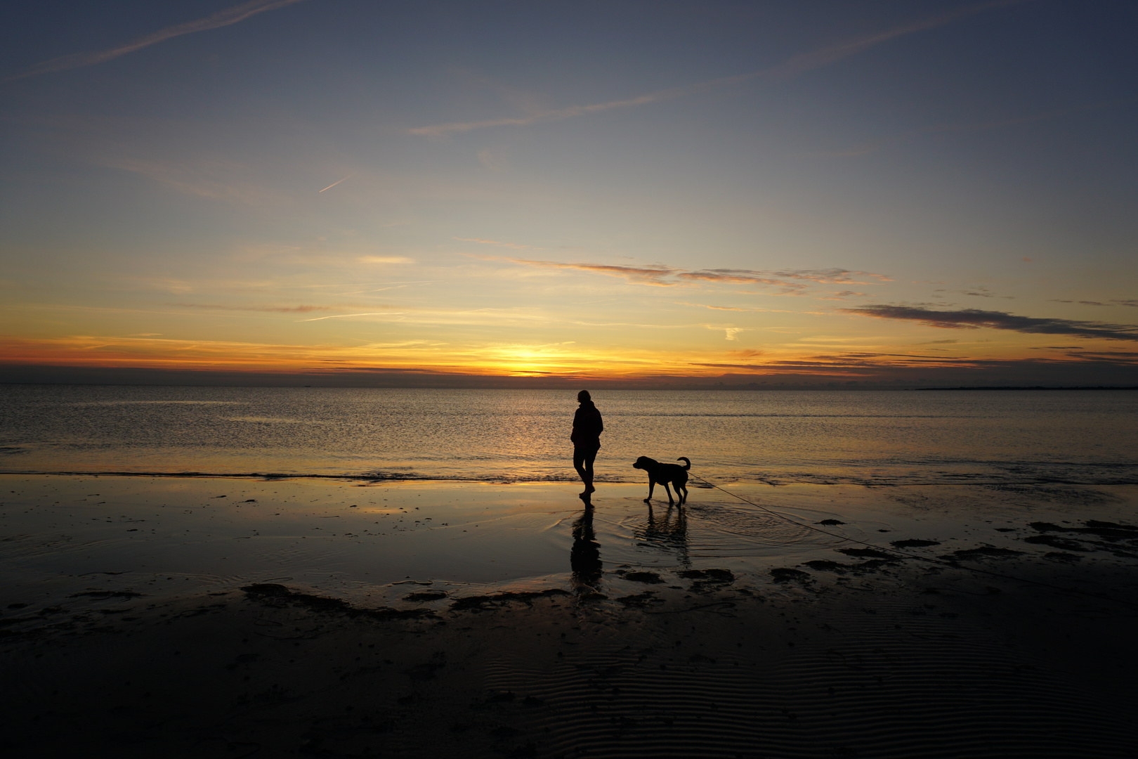 dänemark mit hund am strand