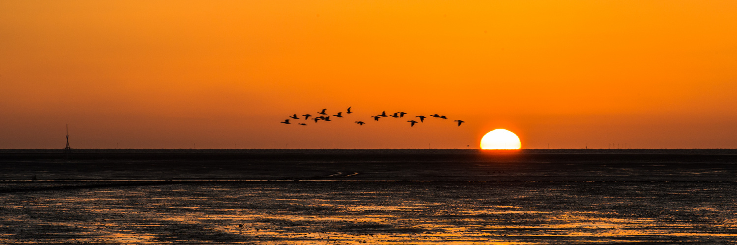 Sonnenuntergang Fridrichskoog-Spitze