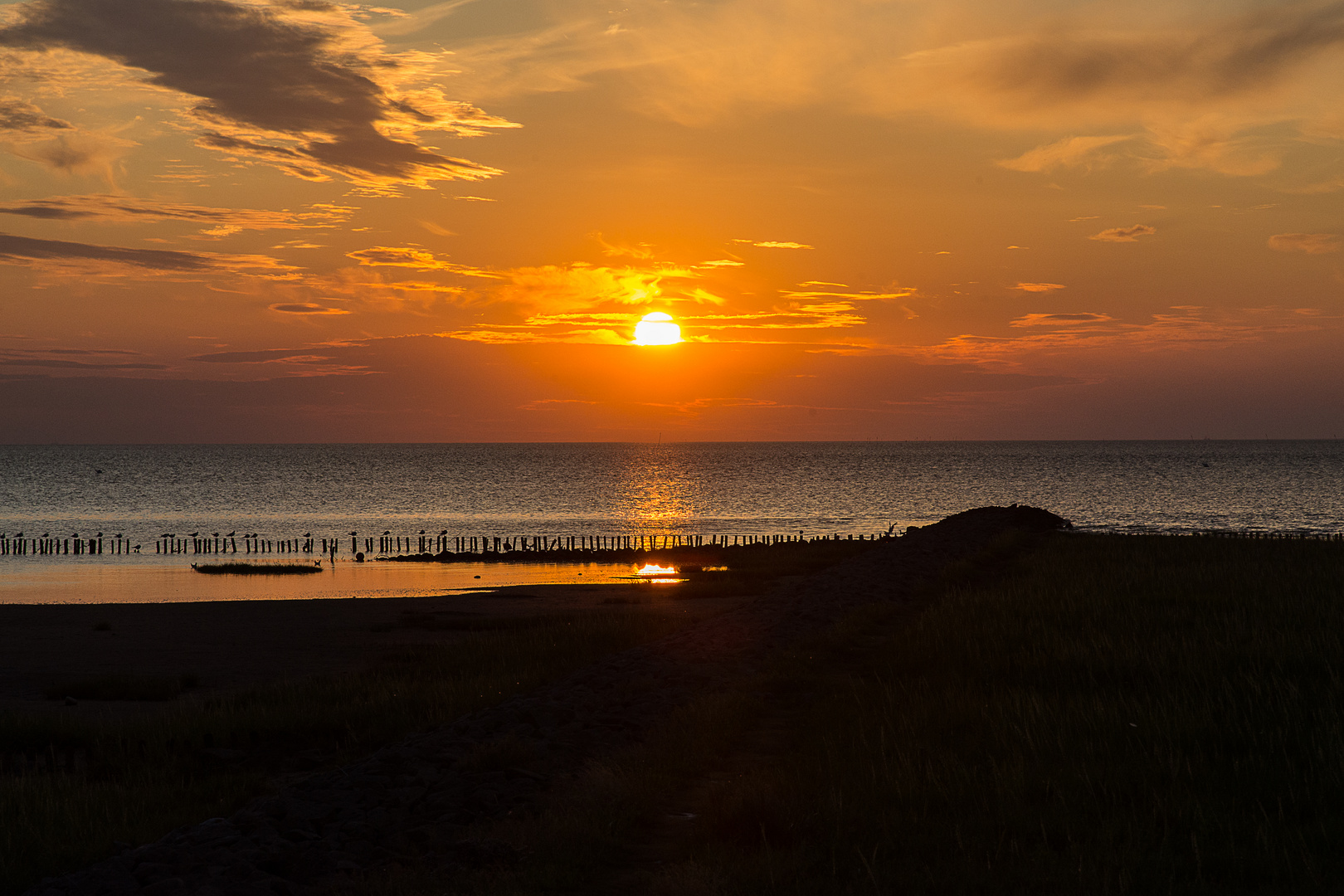 Sonnenuntergang Friedrichskoog II