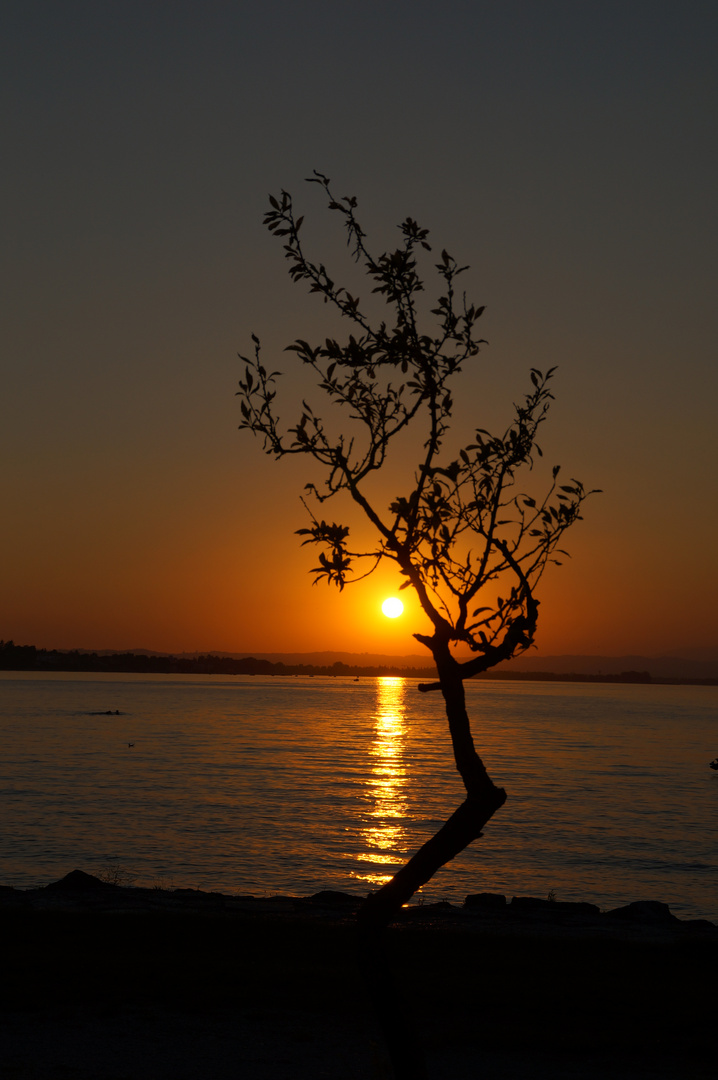 Sonnenuntergang Gardasee