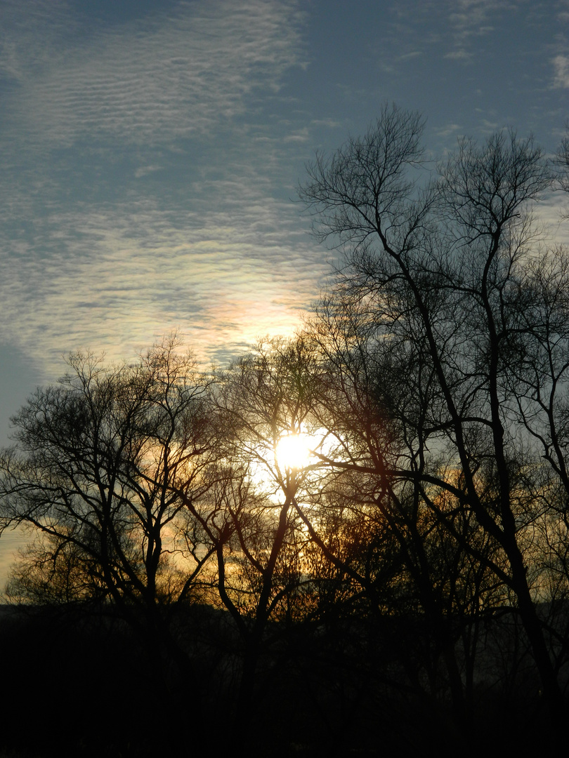 Sonnenuntergang, Gegenlicht Februar 2012