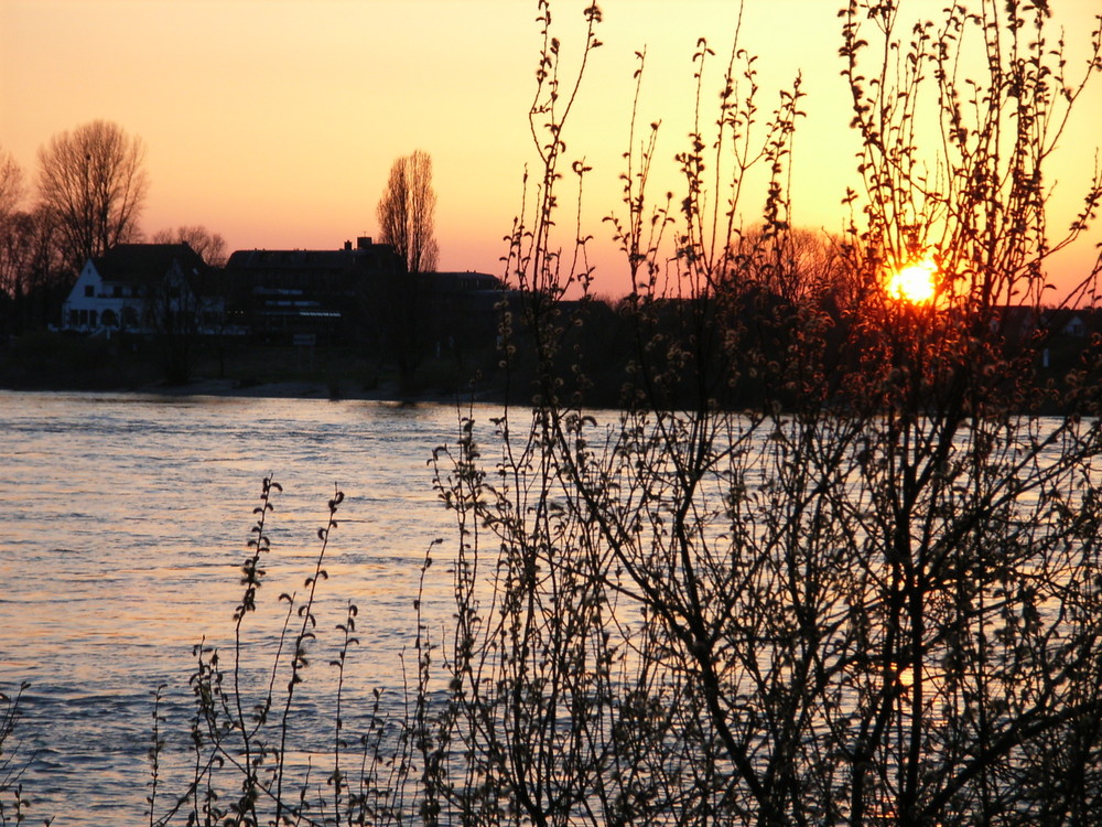 Sonnenuntergang gegenüber Düsseldorf-Kaiserswerth