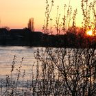 Sonnenuntergang gegenüber Düsseldorf-Kaiserswerth