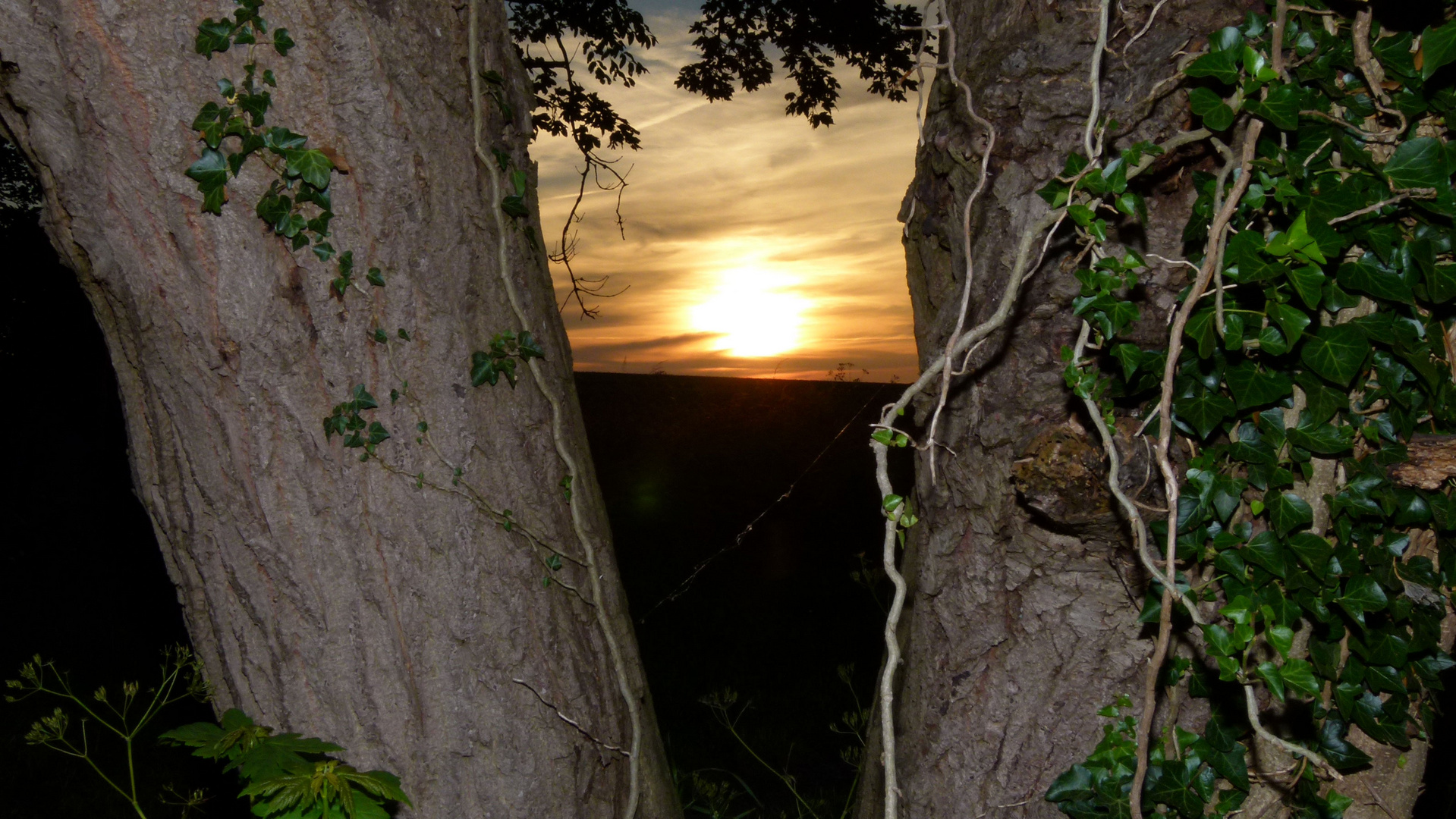 Sonnenuntergang Gelting Mole