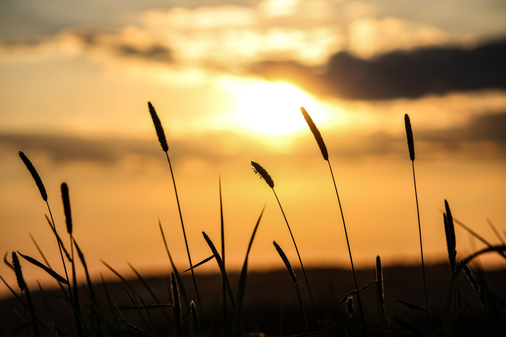 Sonnenuntergang - Genieße den Augenblick