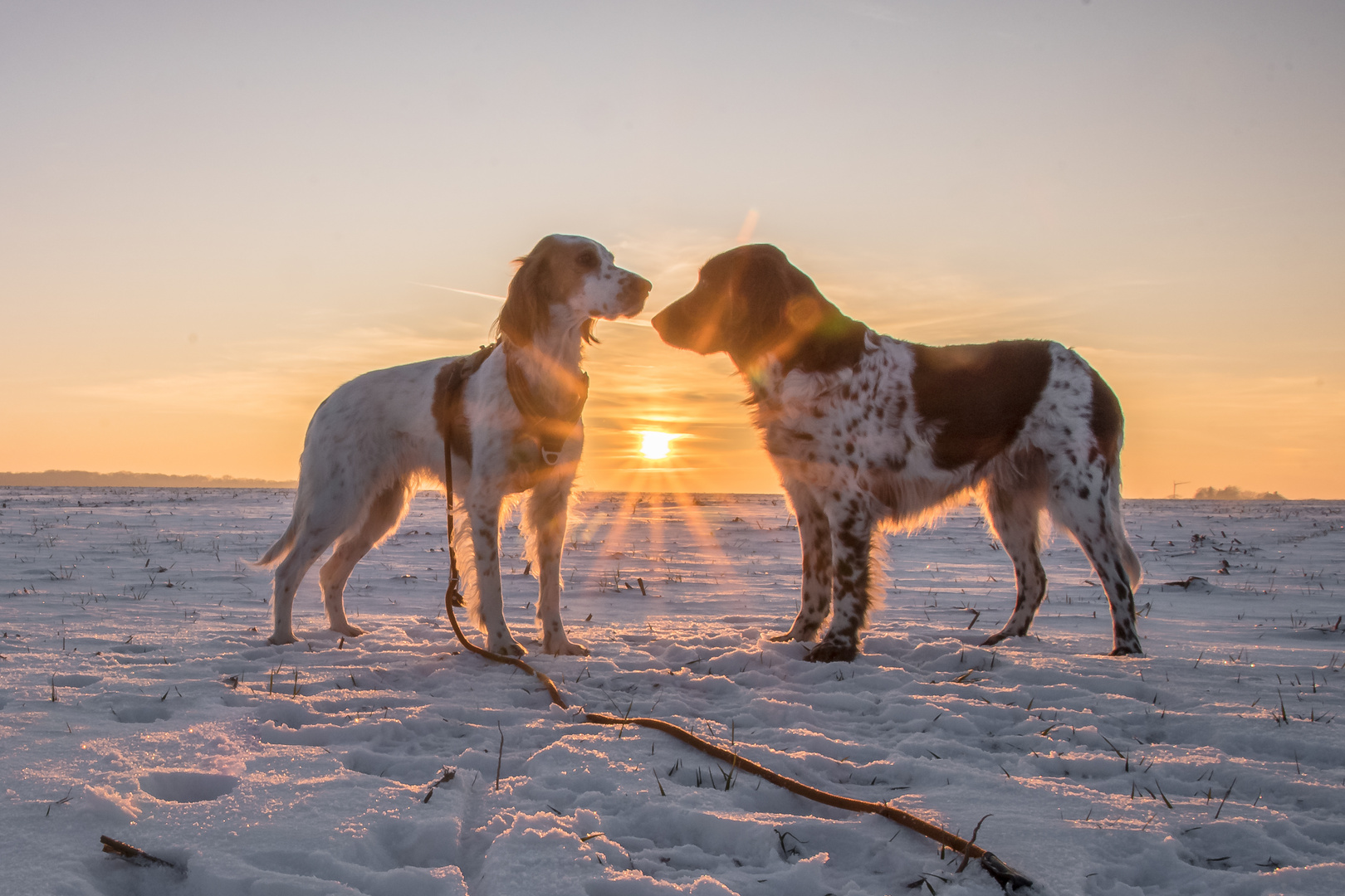 Sonnenuntergang genießen 