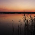 Sonnenuntergang gespiegelt auf der Schlei