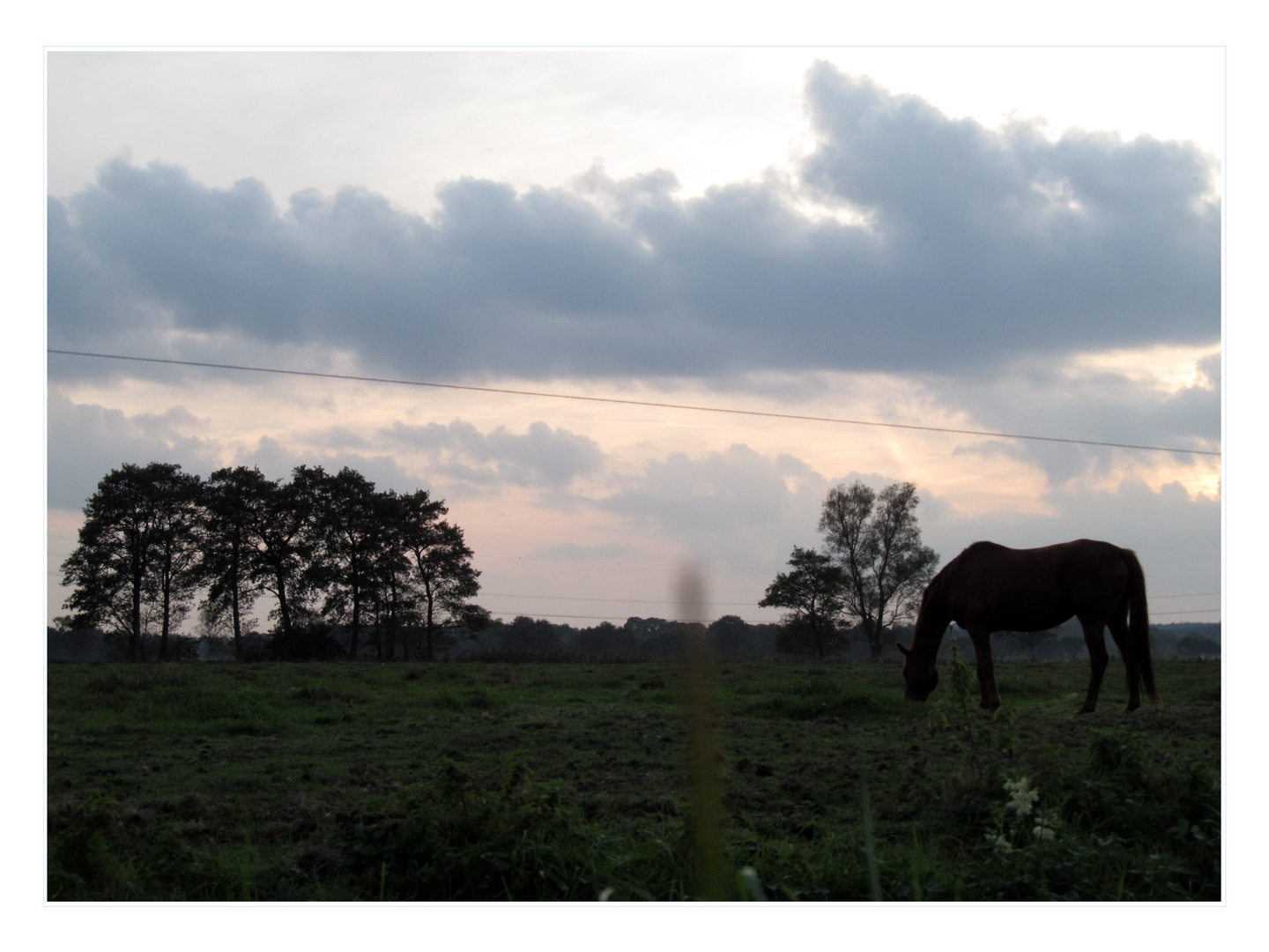 Sonnenuntergang gestern ...........