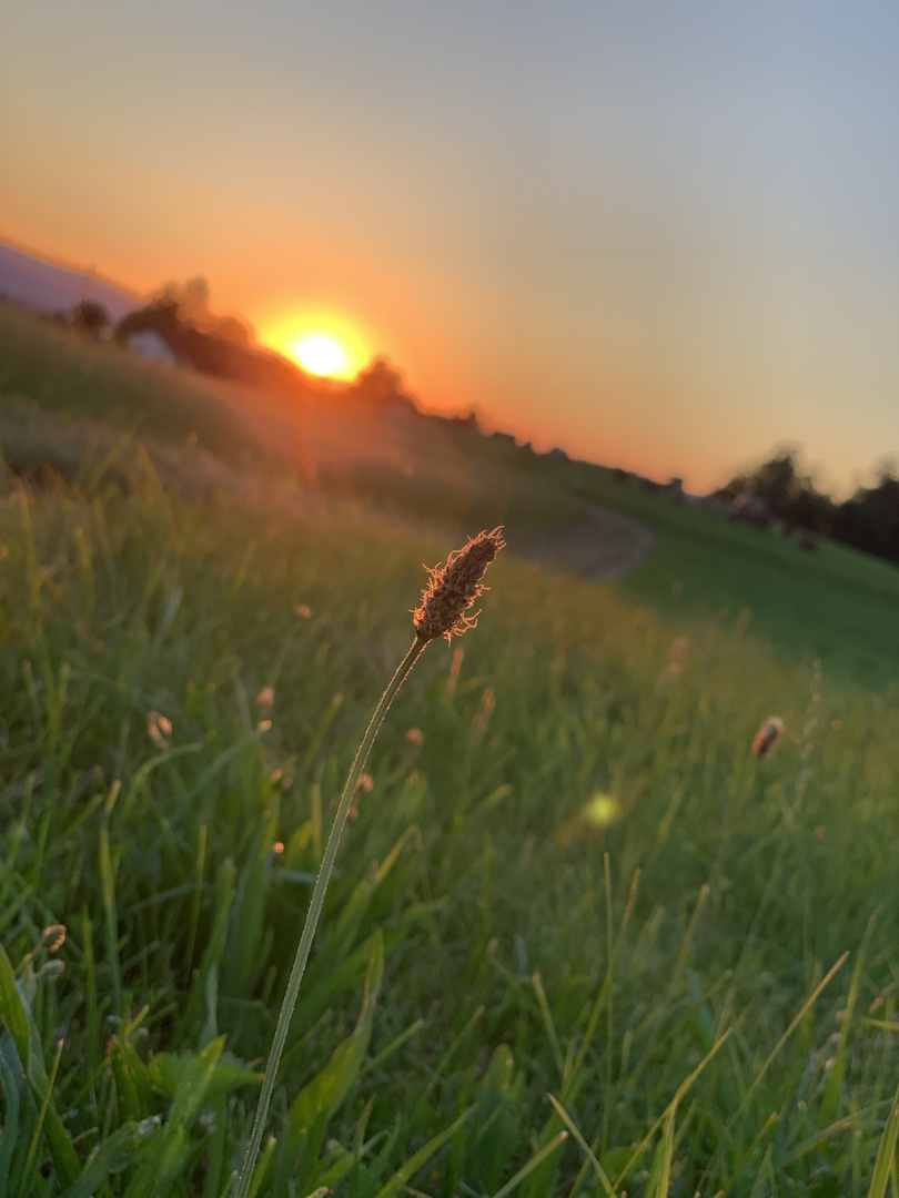 Sonnenuntergang GossauZH 