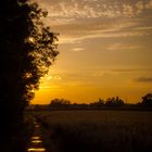 Sonnenuntergang Grafenrheinfelder Seen