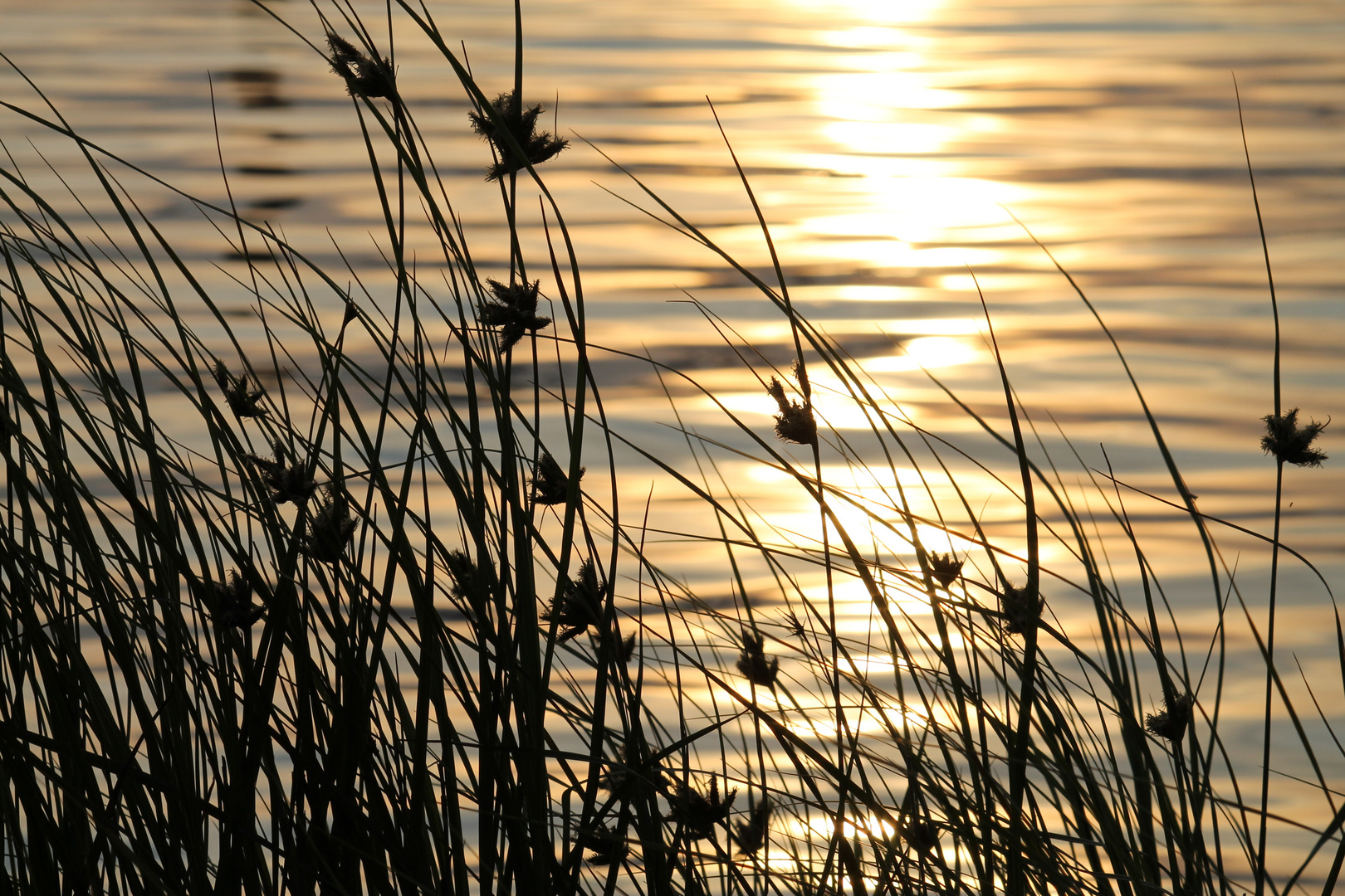 Sonnenuntergang Grevelingmeer