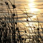 Sonnenuntergang Grevelingmeer