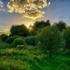 Sonnenuntergang Güstrow HDR