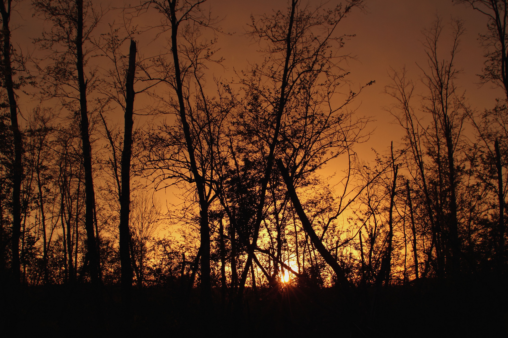 Sonnenuntergang Happinger Au