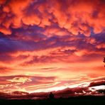 Sonnenuntergang Hawke Bay