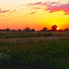 Sonnenuntergang HDR