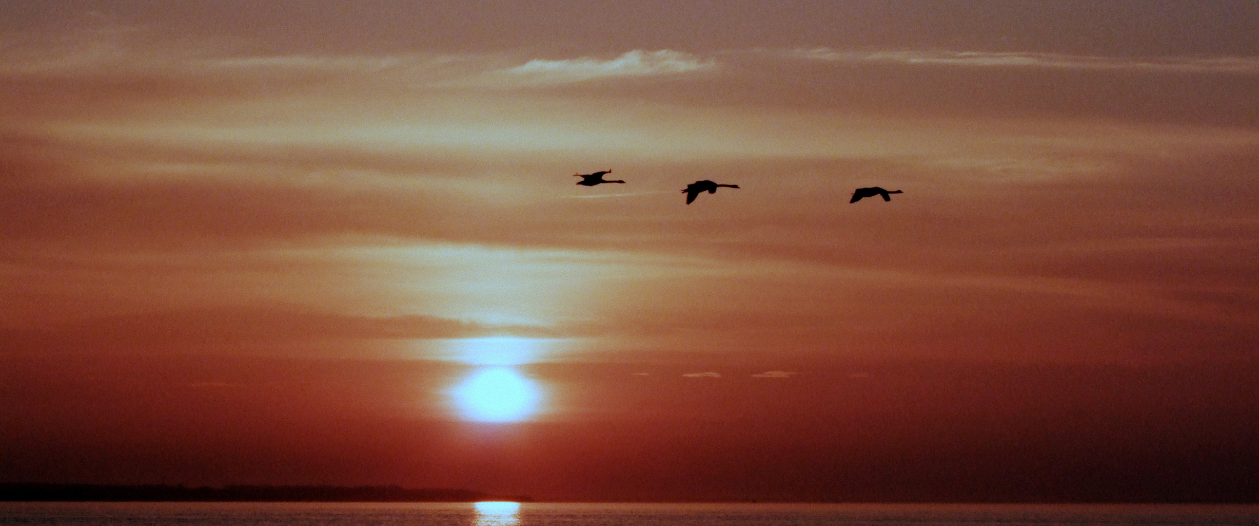 Sonnenuntergang Heidkate