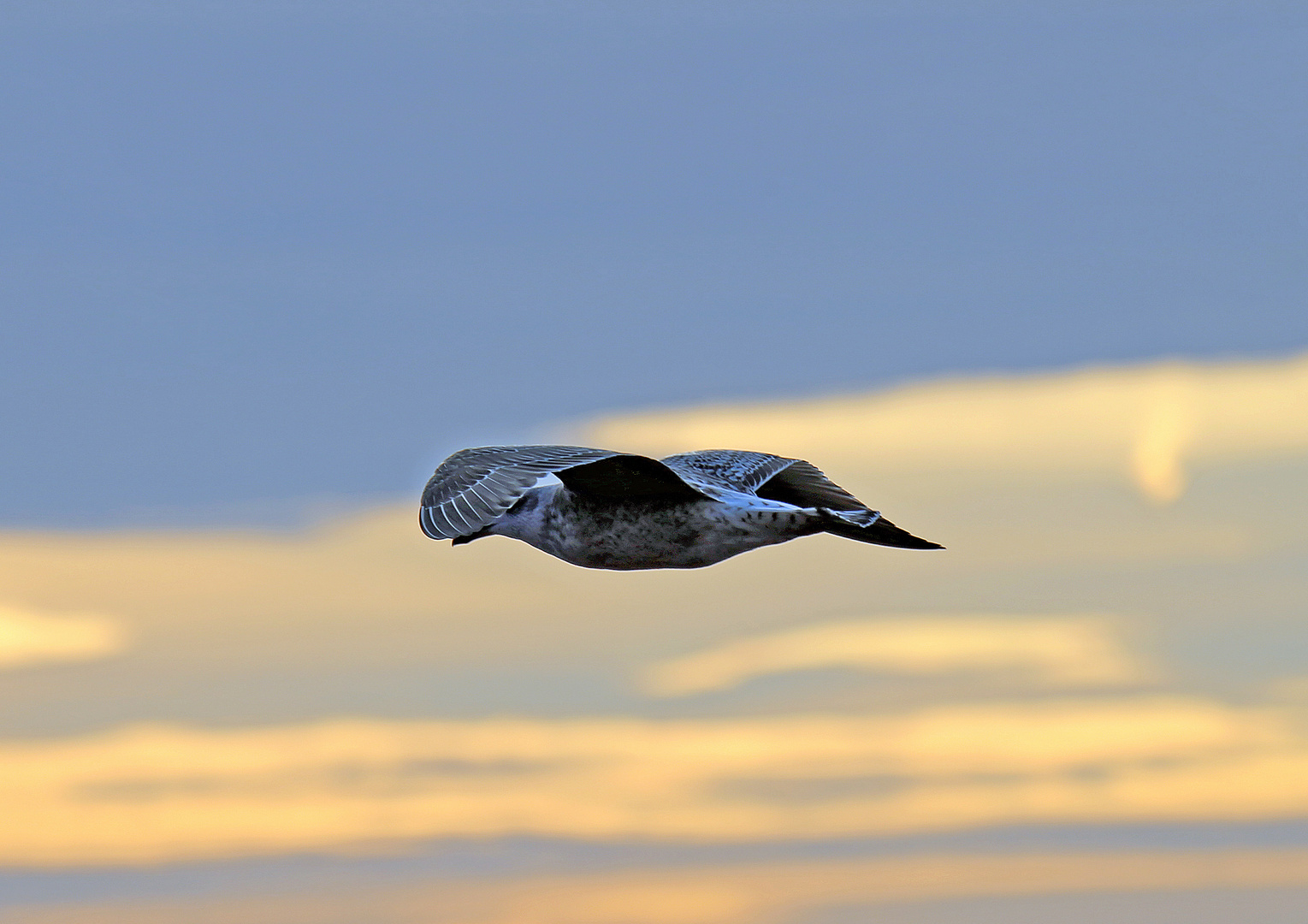 Sonnenuntergang Helgoland