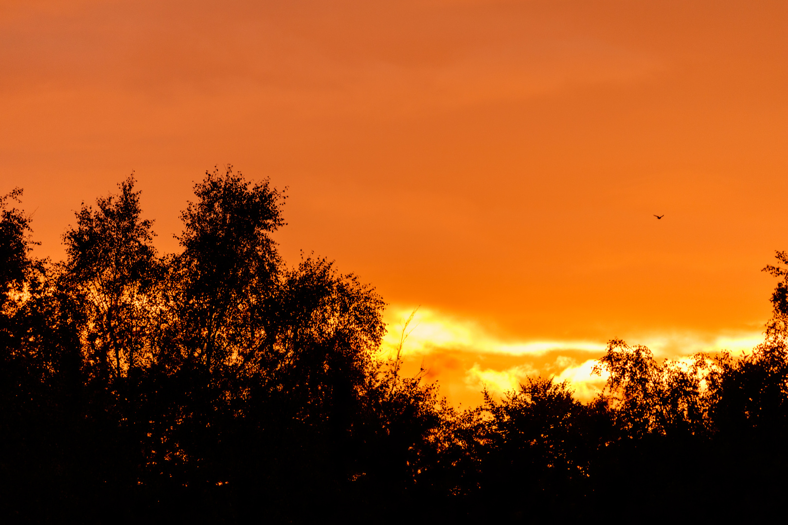 Sonnenuntergang Herbst 2017