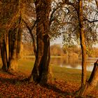 Sonnenuntergang - Herbstimpression am See