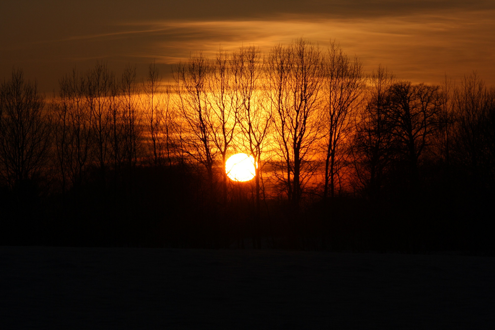 Sonnenuntergang Hermannshöhe