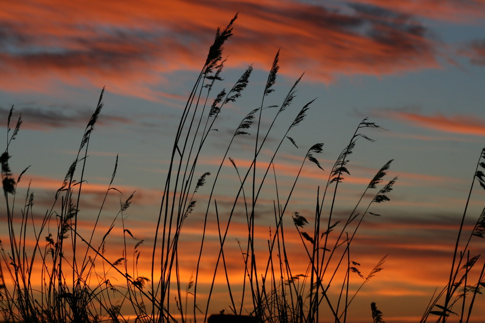 sonnenuntergang heute