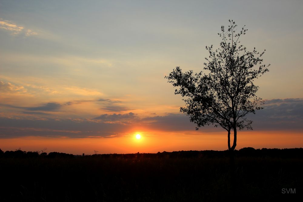 Sonnenuntergang heute Abend zwischen Gleina und Klix im Kreis Bautzen