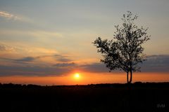 Sonnenuntergang heute Abend zwischen Gleina und Klix im Kreis Bautzen