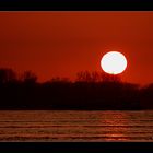 Sonnenuntergang heute am Rhein bei Neuburgweier.....