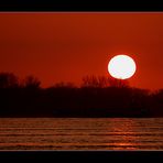 Sonnenuntergang heute am Rhein bei Neuburgweier.....