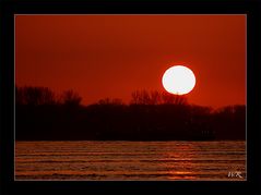 Sonnenuntergang heute am Rhein bei Neuburgweier.....