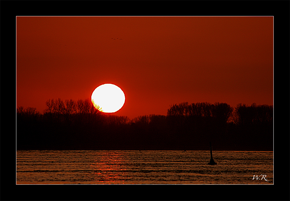 Sonnenuntergang heute am Rhein bei Neuburgweier.....#1