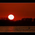 Sonnenuntergang heute am Rhein bei Neuburgweier.....#1