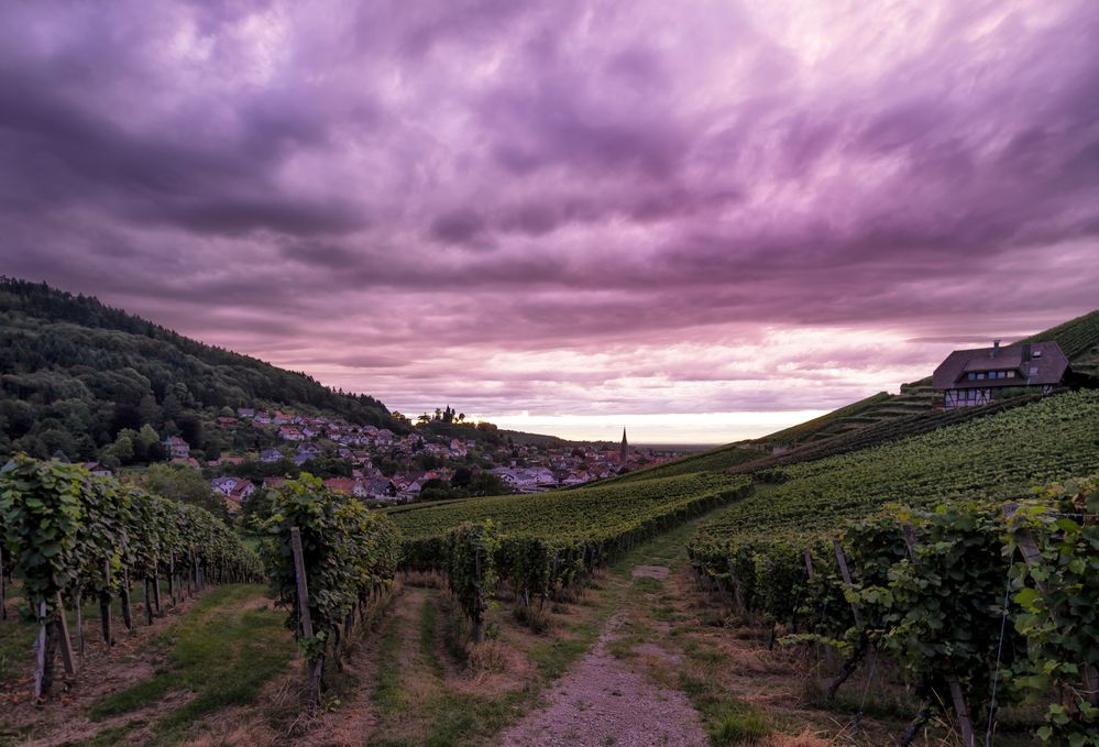 SONNENUNTERGANG HEUTE.